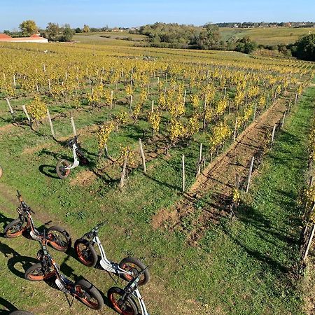Maison 15 Sauternes Eksteriør bilde