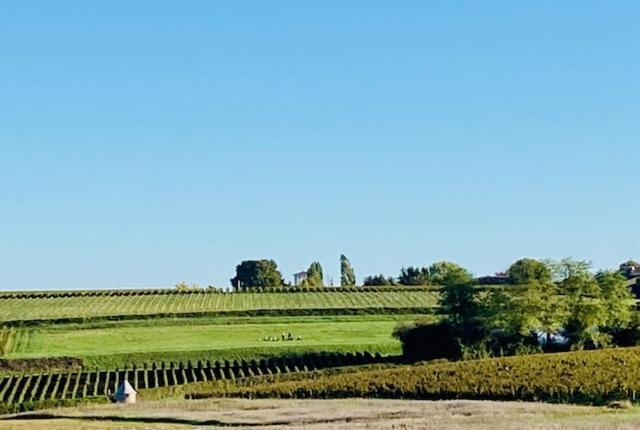 Maison 15 Sauternes Eksteriør bilde